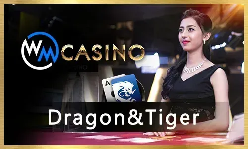 Jili77 Casino Daily Cashback